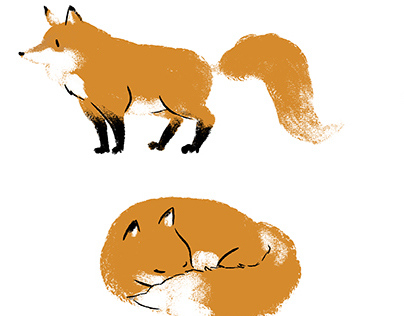 Character Design - Fox and Monkey