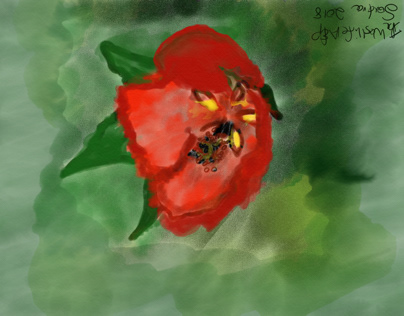 Watercolor Hibiscus