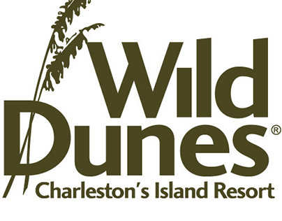 Wild Dunes 728x90 Summer Banner Ad