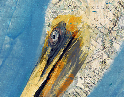 Pelican on Nautical Chart "Throne"