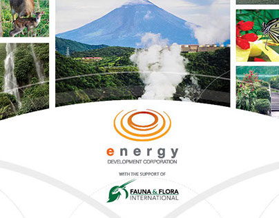 Energy Development Corporation CESR Brochure 2013