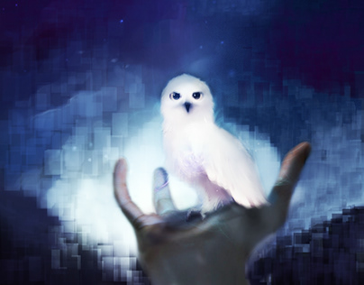 HEDWIG