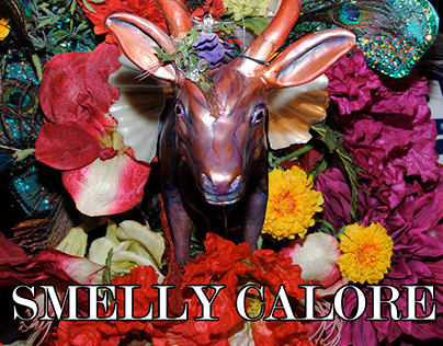 Smelly Calore - Album Art