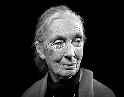 Jane Goodall-  primatologist and UN Messenger of Peace