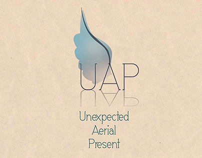 UAP: Unexpected Aerial Present