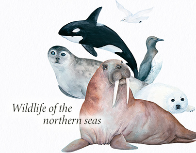 Watercolor clip-art of wildlife of the northern seas
