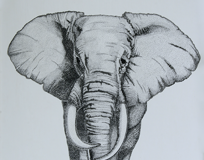 Elephant * Elefante