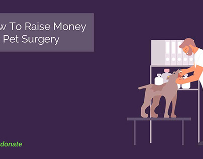How To Raise Money For Pet Surgery