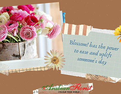 Blossom! has the power to ease and uplift someone's day