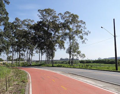 Bike Lane and Freeway