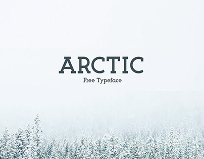 Arctic Modern slab serif Font Free