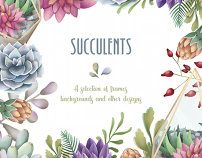 Succulents. A selection of digitally drawn plants