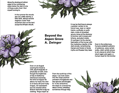 Beyond the Aspen Grove Typographic Explorations