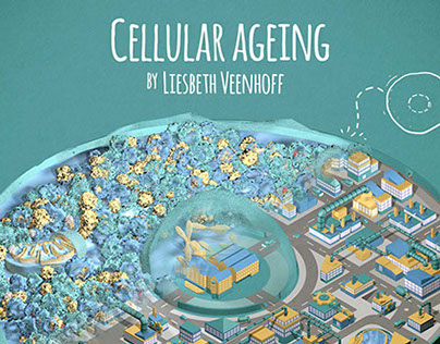 Cellular Ageing animation