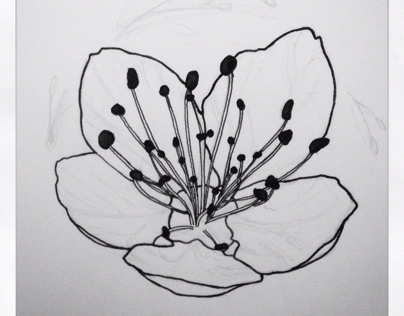 Some flowers. WIP