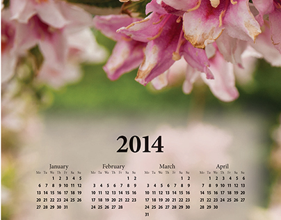 2014 Wall Calendar