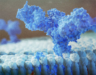 Ebola virus membrane