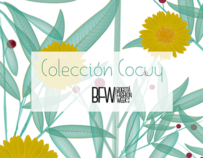 Colección Cocuy