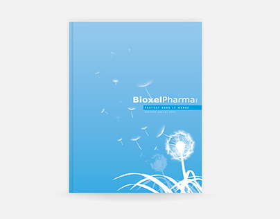 Bioxel - 2008 Annual Report
