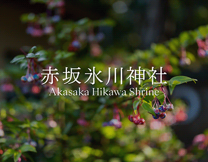 赤坂氷川神社 Akasaka Hikawa Shrine