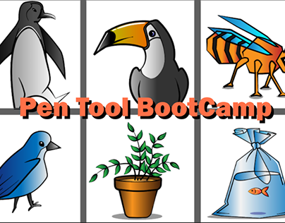 Pen Tool BootCamp