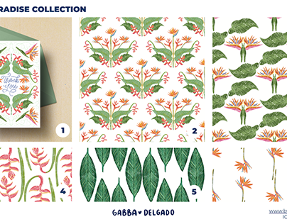 Bird of Paradise Floral Pattern Collection