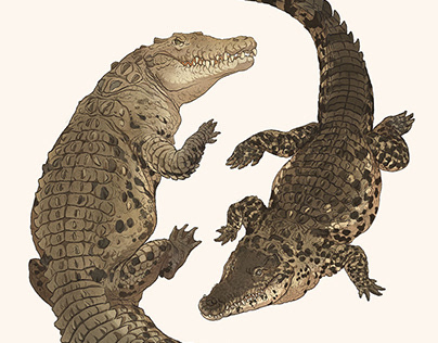 Crocodilian Families of the World