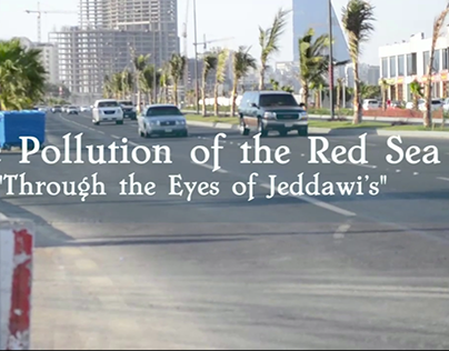 The Pollution of the Red Sea