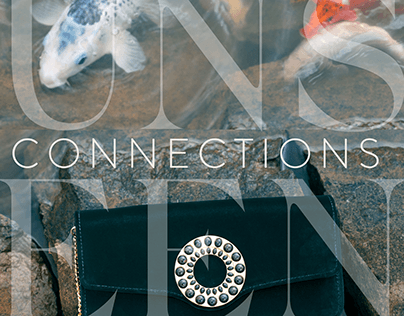 Unseen Connections - ARANYANI (Storybook)
