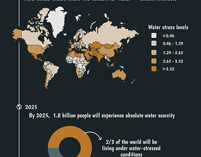 Our Water Problem Infographic