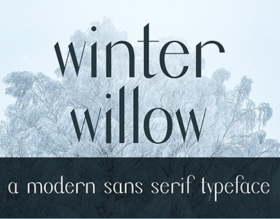 Winter Willow Type Design