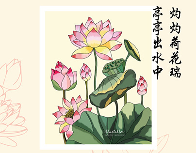 illustchloe: Lotus Series