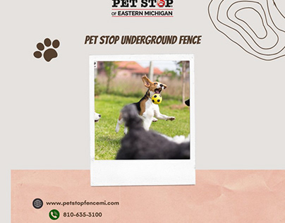 Secure Your Pet with Pet Stop Underground Fence