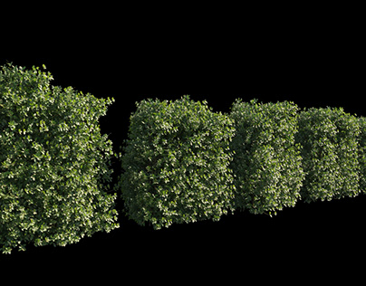 Pack of high poly hedge for visual