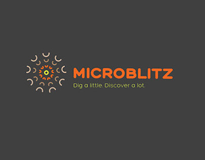 MicroBlitz