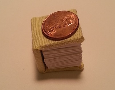 The Smallest Book