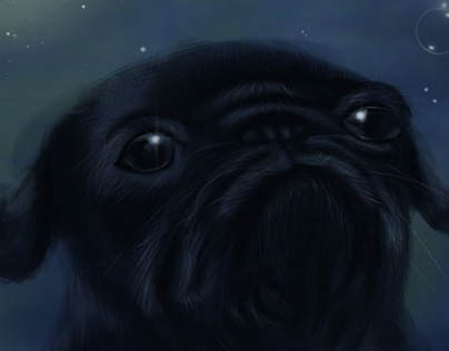 Black pug with bubble
