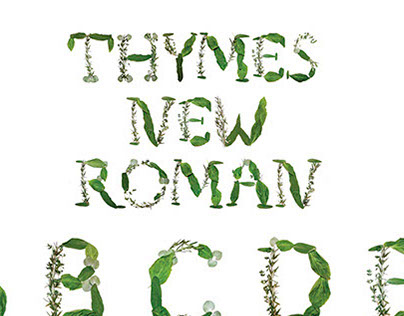 Thymes New Roman - 3D Typography