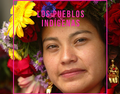 Booklet | Pueblos Indigenas | Editorial