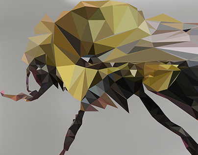 Low Poly Bee