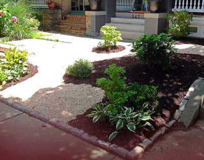 Lancaster row home front landscaping