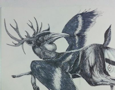 Deer Hornbills