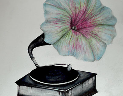 music blossom