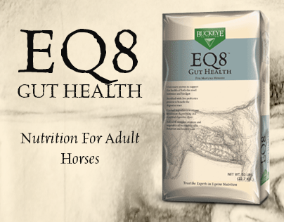 EQ8 Gut Heath - Nutrition For Adult Horses