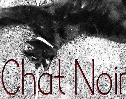Chat Noir | Typeface