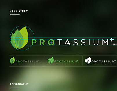 Project thumbnail - Protassium+ Rebrand