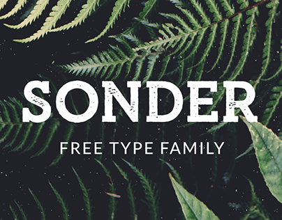 Sonder - Free Type Family