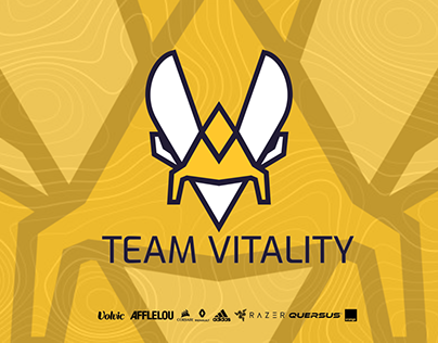 Team Vitality project