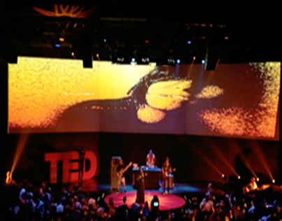 TED Rio de Janeiro 2014