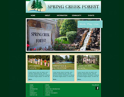 Spring Creek Forest Web Design